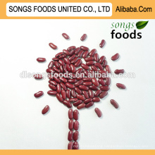 Organic British Dark Red Kidney Beans